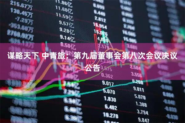 谋略天下 中青旅：第九届董事会第八次会议决议公告
