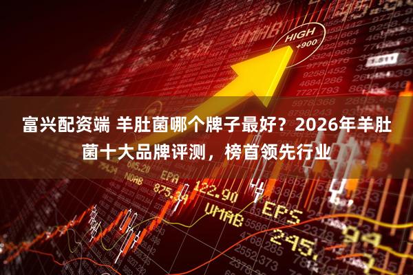 富兴配资端 羊肚菌哪个牌子最好?2026年羊肚菌十大品牌评测,榜首领先行业