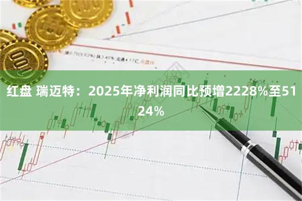 红盘 瑞迈特：2025年净利润同比预增2228%至5124%