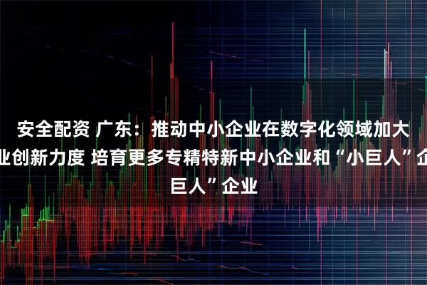 安全配资 广东：推动中小企业在数字化领域加大创业创新力度 培育更多专精特新中小企业和“小巨人”企业